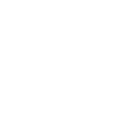 Adult Swim logo