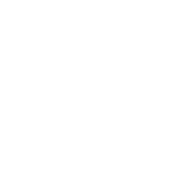 Custom Controllerzz logo